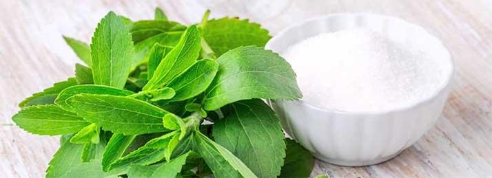 Stevia